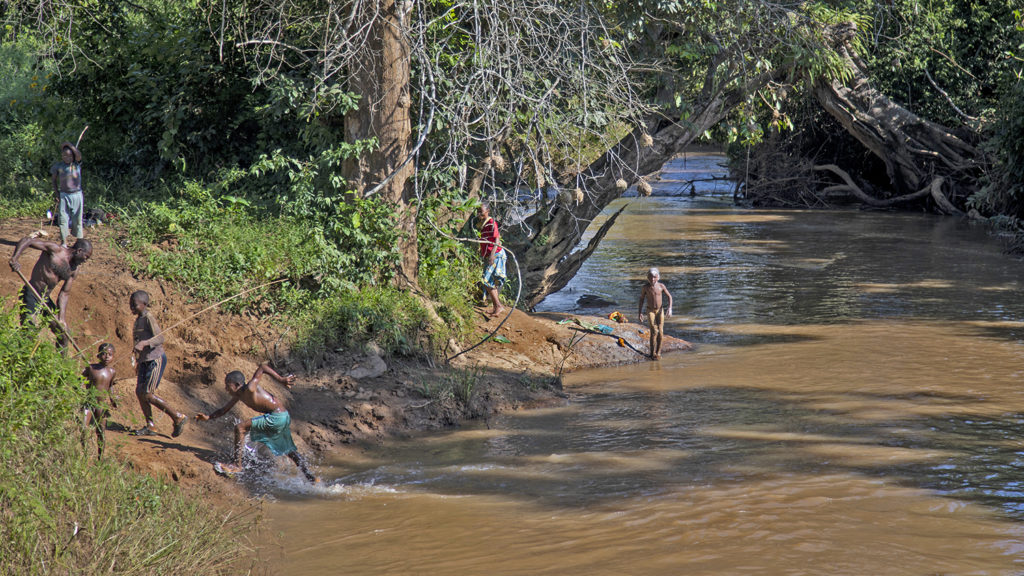 How our research is finding new ways to fight river blindness | From ...