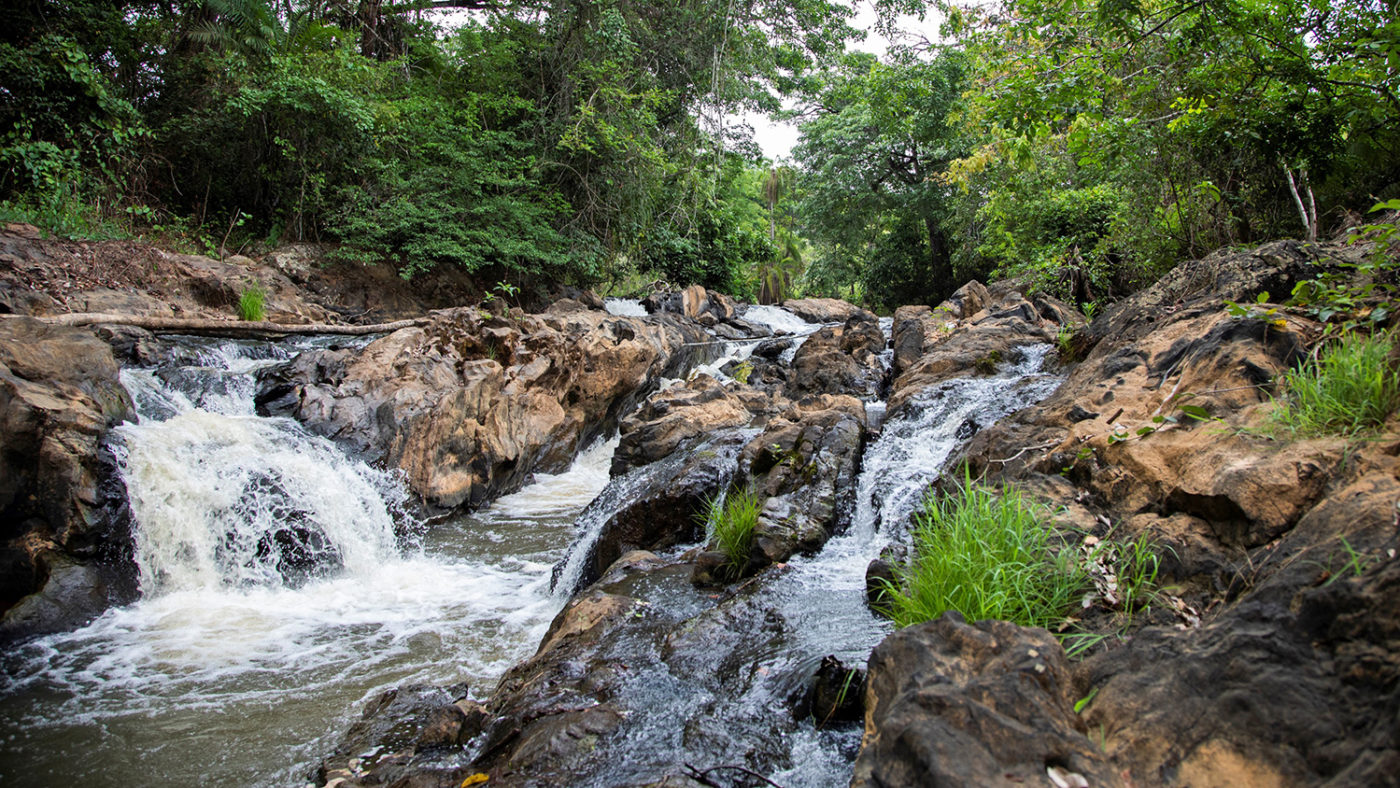 How our research is finding new ways to fight river blindness | From ...