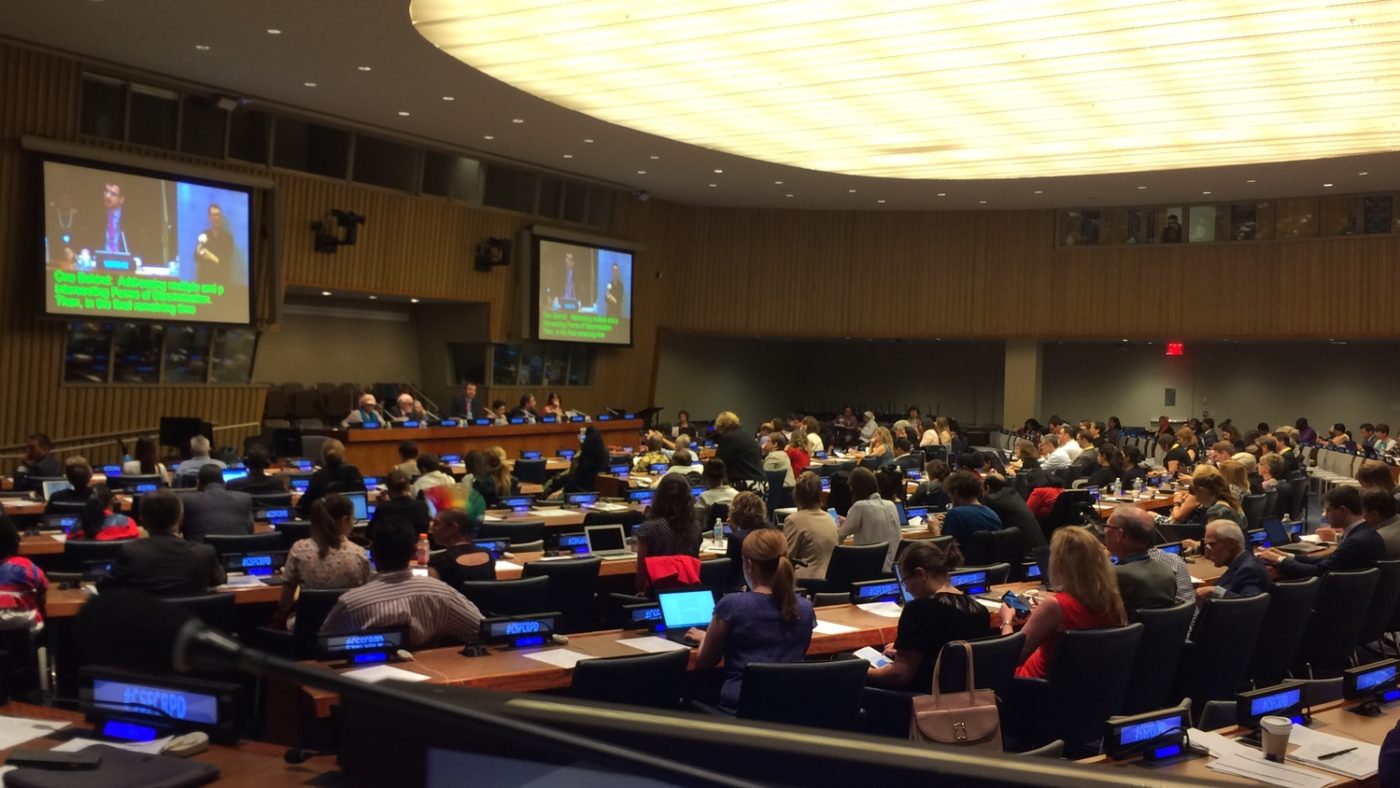 How does the UN disability committee election work? | Blogs | Sightsavers